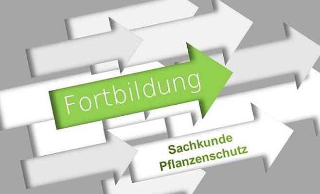 Pflanzenschutz